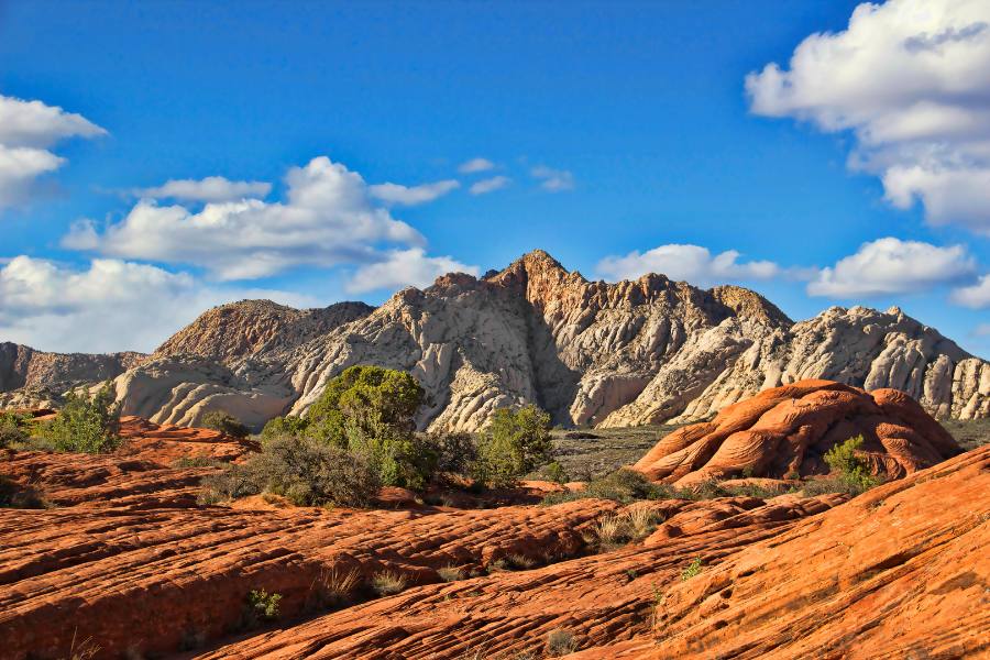 Red rock cliffs glowing during autumn in Utah near St. George