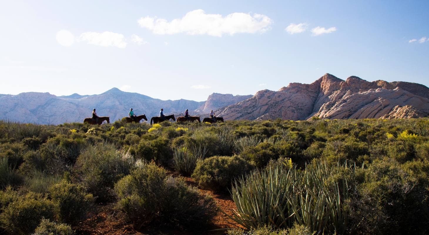 Red rock cliffs glowing during autumn in Utah near St. George