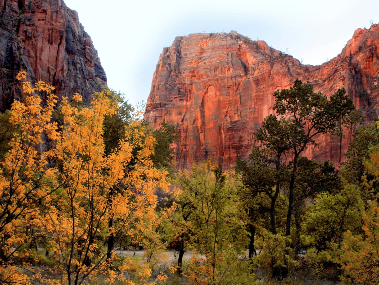 Zion National Park in the fall